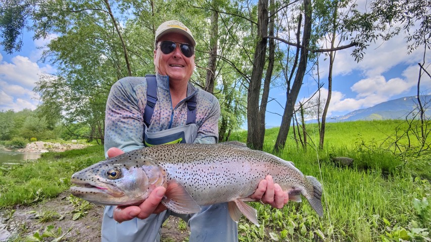 big rainbow trout sava.